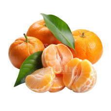 Premix pentru Suc Granita Sorbet Italian - Mandarina 