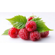 Premix pentru Suc Granita Sorbet Italian - Zmeura 
